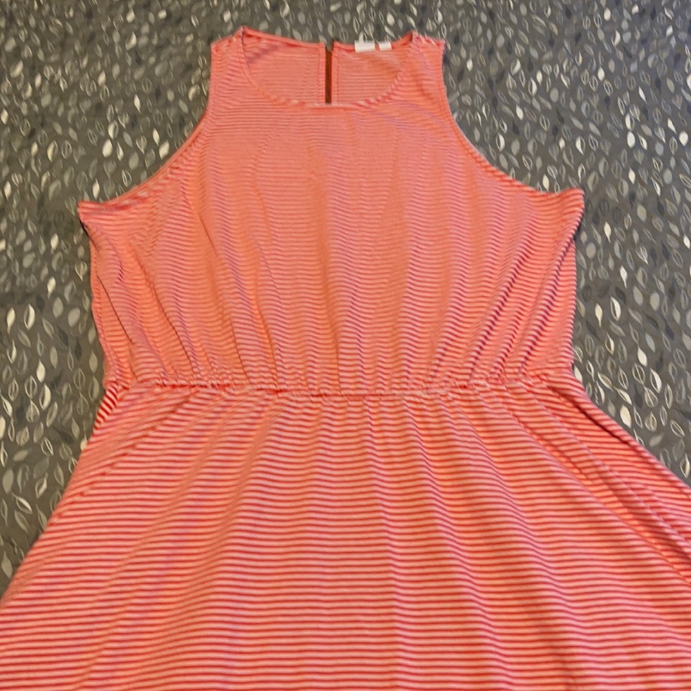 Gap Women’s Dress!